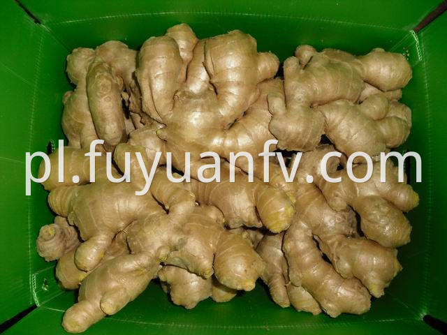 air dried ginger 